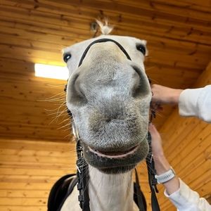 Meet your Posher, Kira